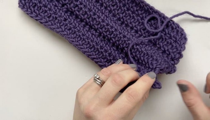How to Crochet the Braid Stitch Photo Tutorial