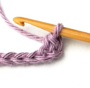 Verbena Crochet Stitch Photo Tutorial