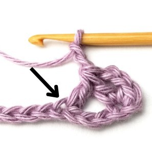 Verbena Crochet Stitch Photo Tutorial