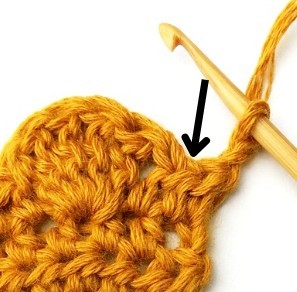 Chestnut Crochet Stitch Photo Tutorial