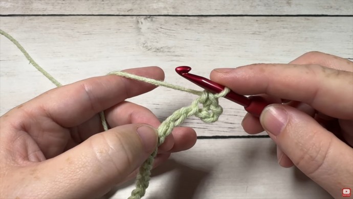How to Crochet the Linked Shells Stitch Photo Tutorial