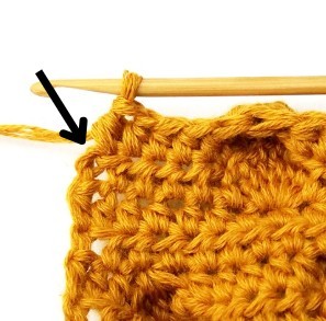 Chestnut Crochet Stitch Photo Tutorial