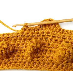 Chestnut Crochet Stitch Photo Tutorial