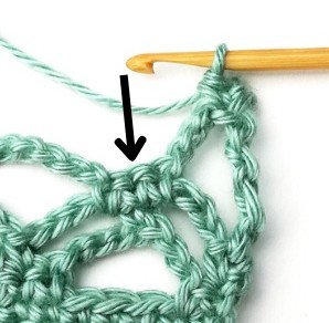 Double Trellis Crochet Stitch Photo Tutorial