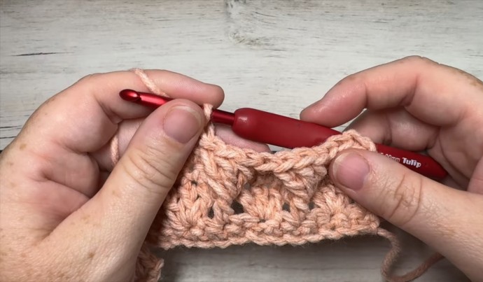 How to Crochet the 3D Twisted Granny Stitch Photo Tutorial