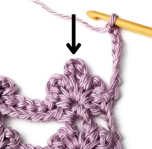Honeysuckle Crochet Stitch Photo Tutorial