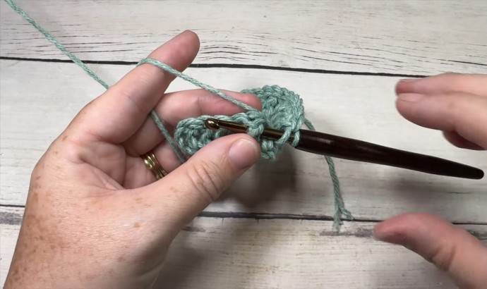How to Crochet the 3D Twisted Shell Stitch Photo Tutorial