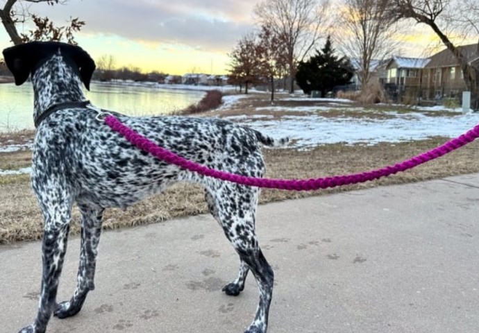 How to Crochet a Dog Leash