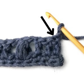 Blueberry Crochet Stitch Photo Tutorial