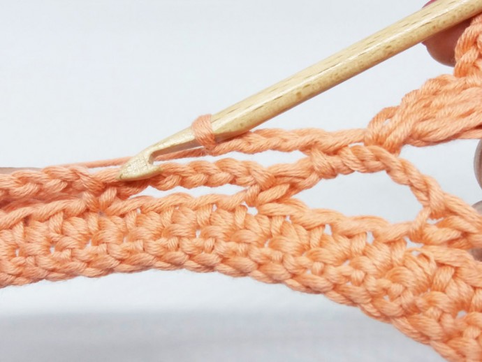 How to Crochet a Flower Border Photo Tutorial