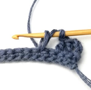 Blueberry Crochet Stitch Photo Tutorial