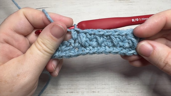 How to Crochet the Cluster Moss Stitch Photo Tutorial