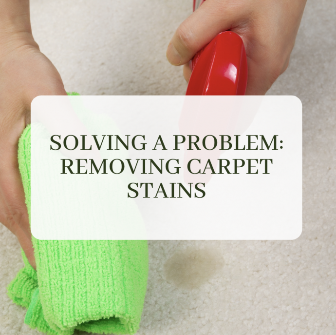 Solving a Problem: Removing Carpet Stains