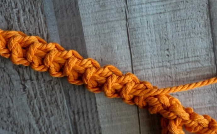 How to Crochet a Dog Leash