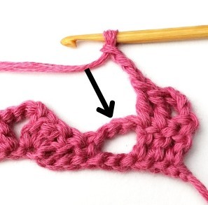 Braids and Columns Crochet Stitch Photo Tutorial