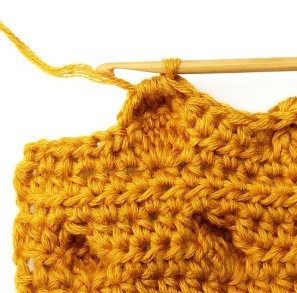 Chestnut Crochet Stitch Photo Tutorial