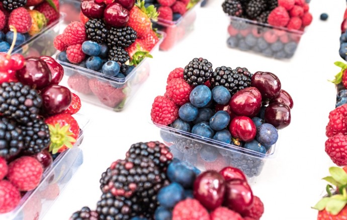 7 Smart Uses of Berry Baskets at Home 7 Smart Uses of Berry Baskets at Home
