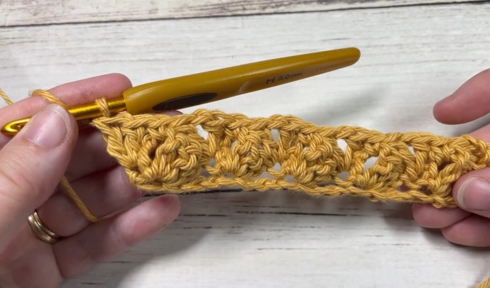 How to Crochet the Flying Shell Stitch Photo Tutorial