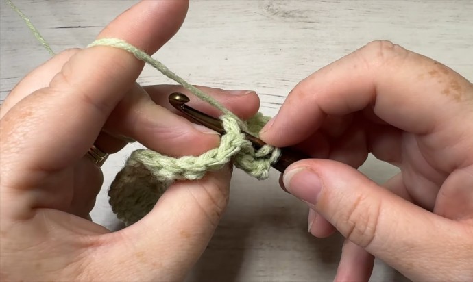 How to Crochet the Swallowtail Stitch Photo Tutorial