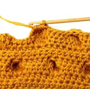 Chestnut Crochet Stitch Photo Tutorial