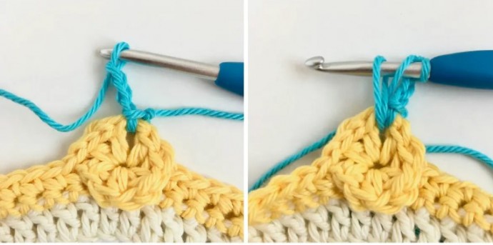 Magnolia Flower Crochet Stitch Photo Tutorial