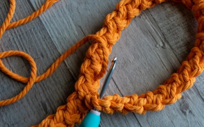 How to Crochet a Dog Leash