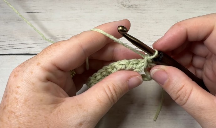 How to Crochet the Swallowtail Stitch Photo Tutorial