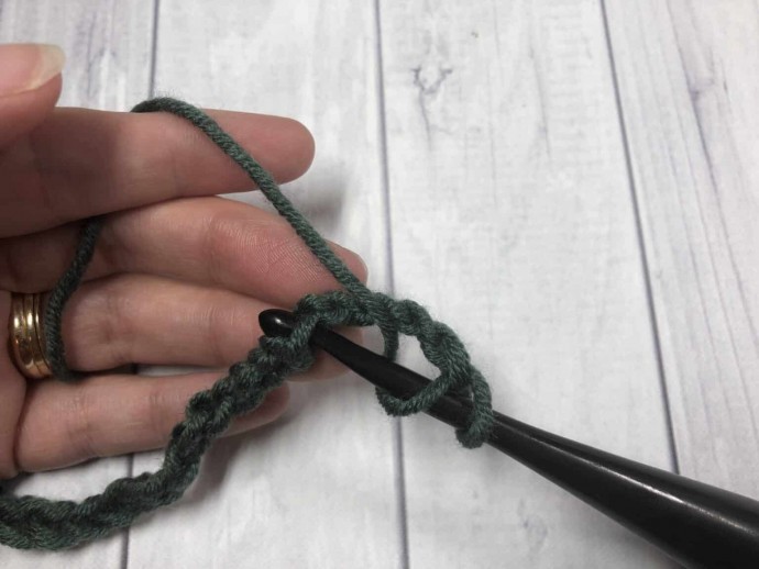 How to Crochet the Twin V Stitch Photo Tutorial