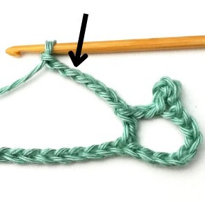 Wild Net Crochet Stitch Photo Tutorial