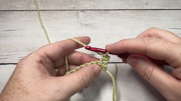 Knotted Half Double Crochet 1 Photo Tutorial