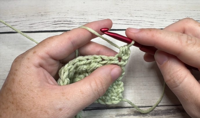 How to Crochet the Flower Bud Stitch Photo Tutorial
