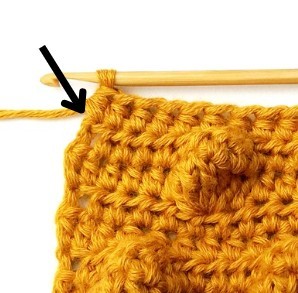 Chestnut Crochet Stitch Photo Tutorial