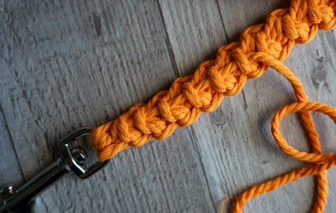 How to Crochet a Dog Leash