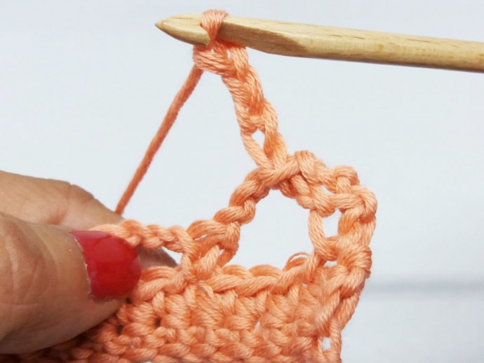 How to Crochet a Flower Border Photo Tutorial