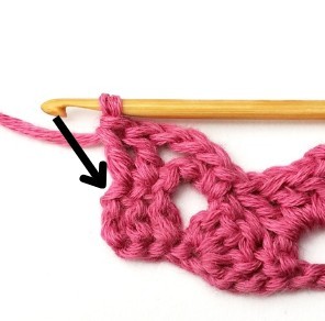 Braids and Columns Crochet Stitch Photo Tutorial