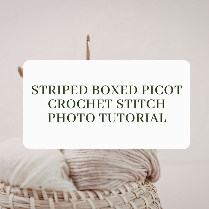 Striped Boxed Picot Crochet Stitch Photo Tutorial