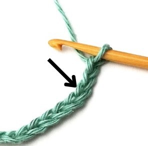 Wild Net Crochet Stitch Photo Tutorial