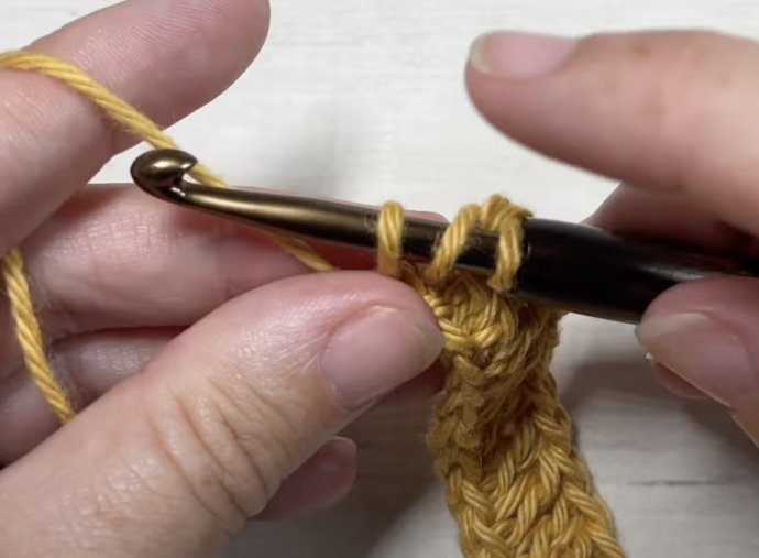 Raised Ridge Stitch Crochet Tutorial