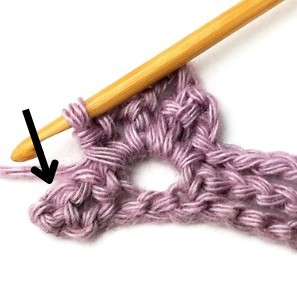 Honeysuckle Crochet Stitch Photo Tutorial