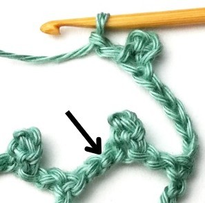 Wild Net Crochet Stitch Photo Tutorial