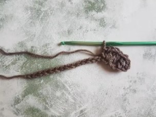 How to Crochet the Paris Stitch Photo Tutorial