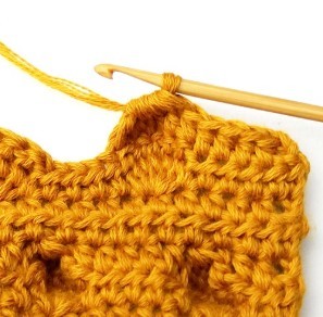 Chestnut Crochet Stitch Photo Tutorial