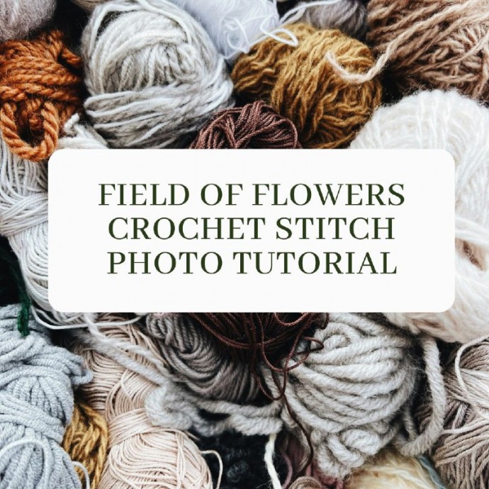 Field of Flowers Crochet Stitch Photo Tutorial