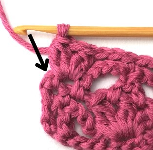 Flower and Triangle Crochet Stitch Photo Tutorial