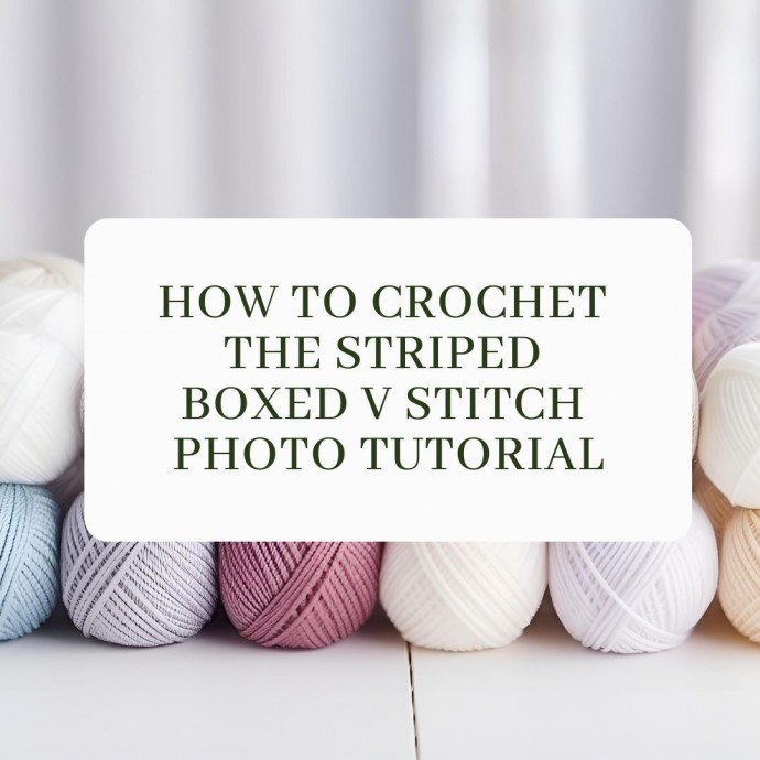 How to Crochet the Striped Boxed V Stitch Photo Tutorial