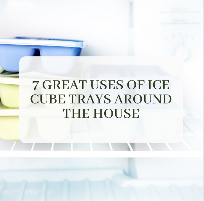 7 Great Uses of Ice Cube Trays Around the House