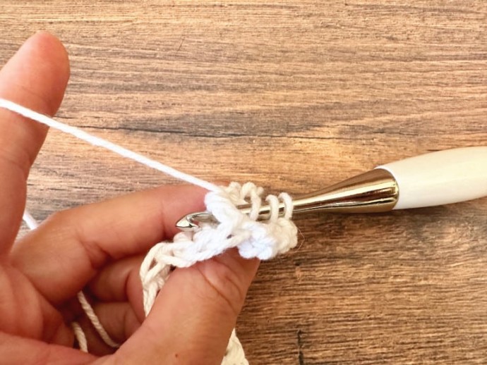 How to Crochet the Back Post Treble (BPtr) Photo Tutorial