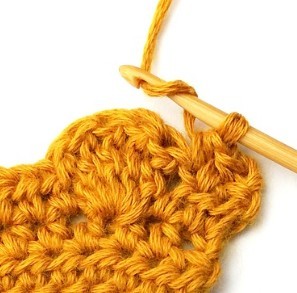 Chestnut Crochet Stitch Photo Tutorial