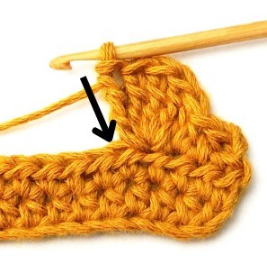 Chestnut Crochet Stitch Photo Tutorial