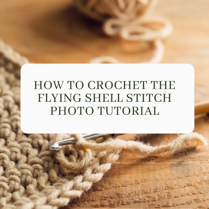 How to Crochet the Flying Shell Stitch Photo Tutorial